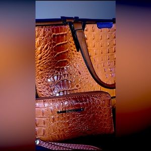 Large Brahmin snakeskin purse